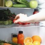 Los mejores frigoríficos para furgonetas camper y autocaravanas en cuanto a calidad y precio [Análisis en profundidad]