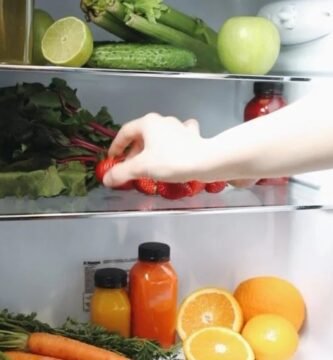 Los mejores frigoríficos para furgonetas camper y autocaravanas en cuanto a calidad y precio [Análisis en profundidad]