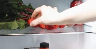 Los mejores frigoríficos para furgonetas camper y autocaravanas en cuanto a calidad y precio [Análisis en profundidad]