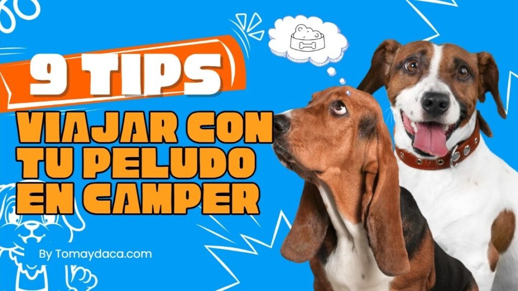 Consejos para viajes en camper con mascotas