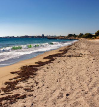 Playa de Pinedo en Valencia dog-friendly