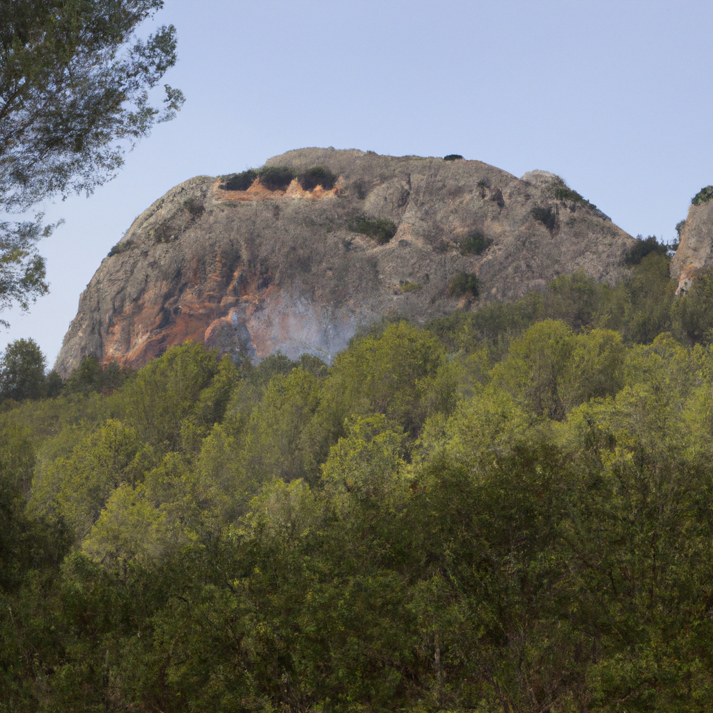 El Garbí